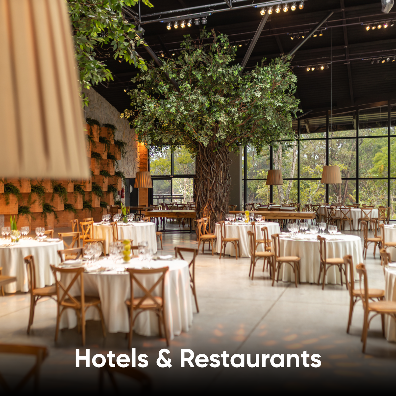 Hotels & Restaurants