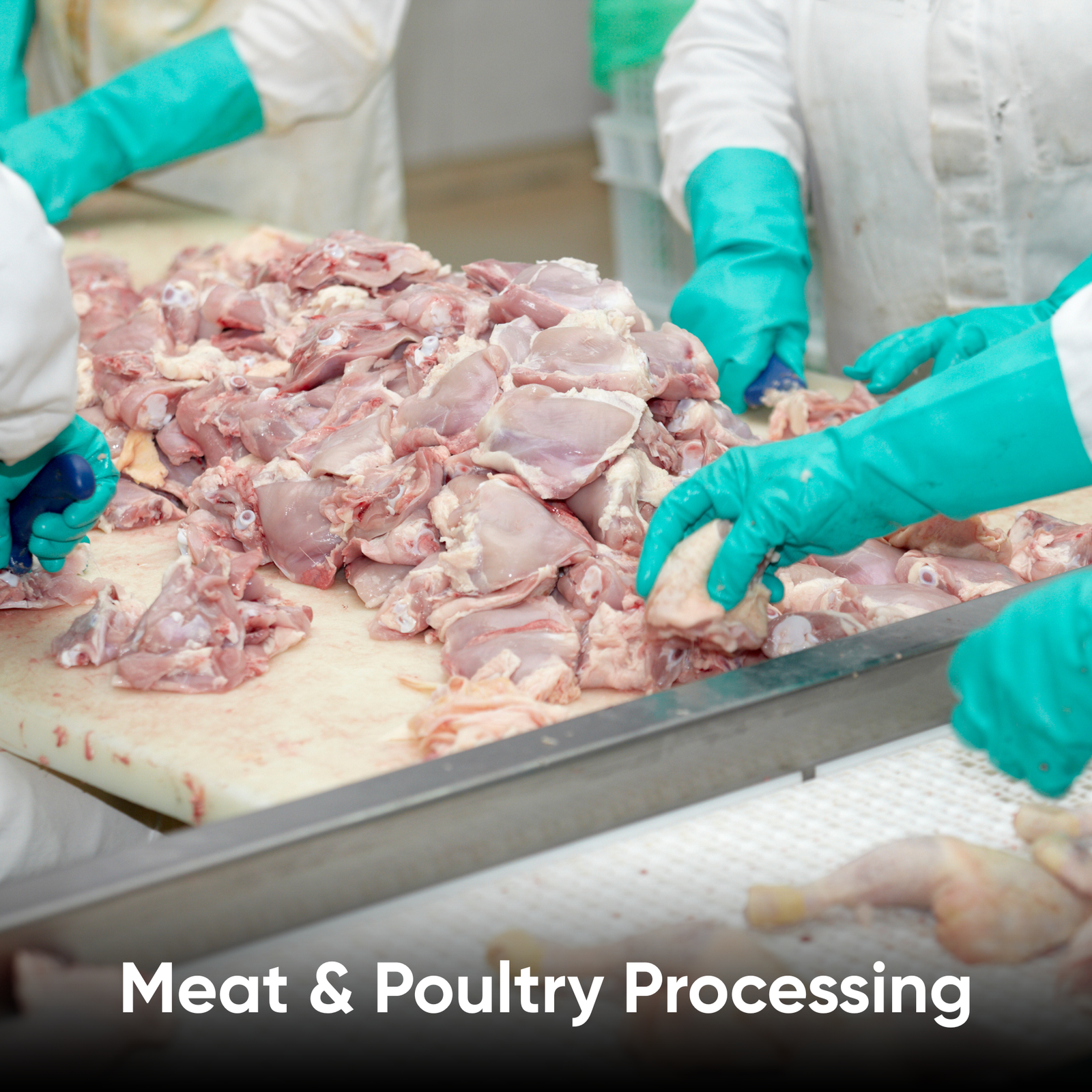 Meat & Poultry Processing